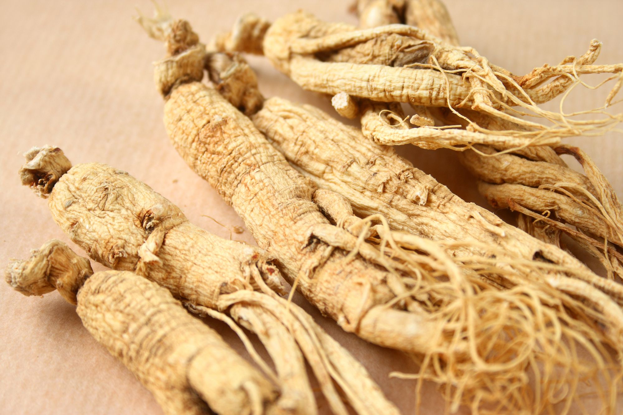 Zensen Roots Ženšen pravý | Vitaminov.cz